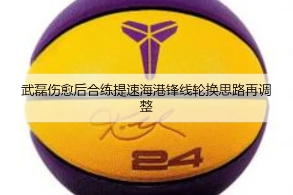武磊伤愈后合练提速海港锋线轮换思路再调整 - online bet365